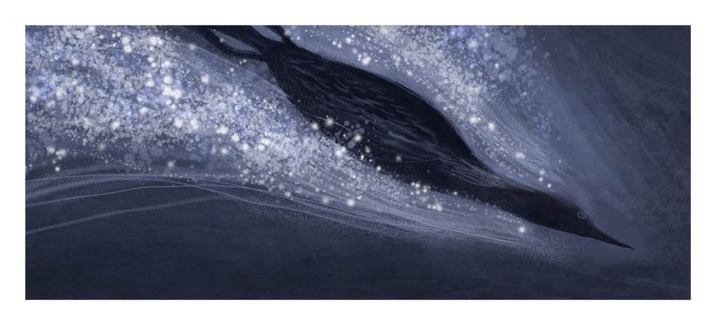 Kunstplakat 565 x 256 mm